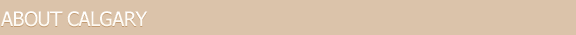 Page Header