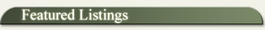 Page Header