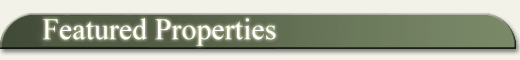 Page Header