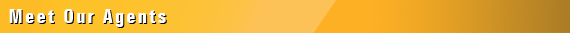 Page Header