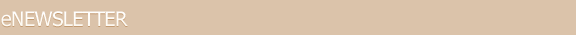 Page Header