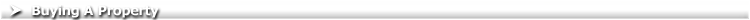 Page Header