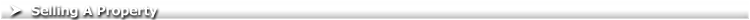 Page Header