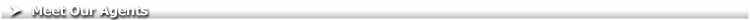 Page Header