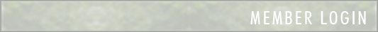 Page Header