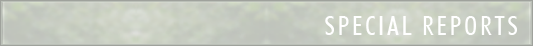 Page Header