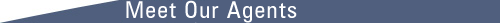 Page Header